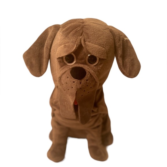 Harry Potter Dog  NWOT - Picture 6 of 6